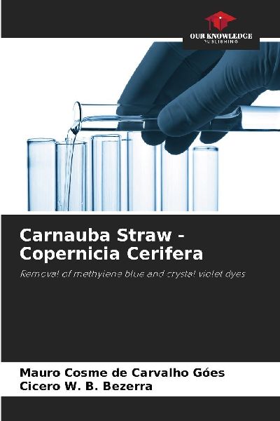 Carnauba Straw - Copernicia Cerifera: Removal of methylene blue and crystal violet dyes