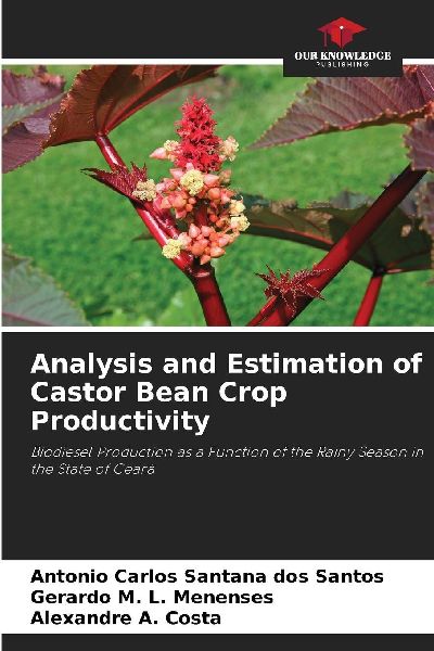Analysis and Estimation of Castor Bean Crop Productivity: Biodiesel Production as a Function of the Rainy Season in the State of Ceará