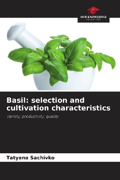 Basil: selection and cultivation characteristics: Variety, productivity, quality