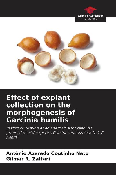 Effect of explant collection on the morphogenesis of Garcinia humilis: In vitro cultivation as an alternative for seedling production of the species Garcinia humilis (Vahl) C. D. Adam