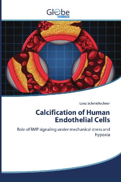 Calcification of Human Endothelial Cells: Role of BMP signaling under mechanical stress and hypoxia