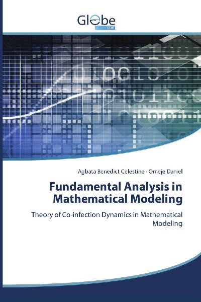 Fundamental Analysis in Mathematical Modeling: Theory of Co-infection Dynamics in Mathematical Modeling