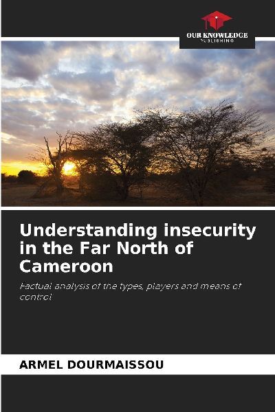 Understanding insecurity in the Far North of Cameroon: Factual analysis of the types, players and means of control