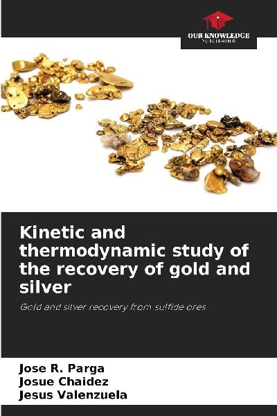 Kinetic and thermodynamic study of the recovery of gold and silver: Gold and silver recovery from sulfide ores
