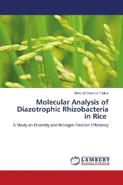 Molecular Analysis of Diazotrophic Rhizobacteria in Rice: A Study on Diversity and Nitrogen Fixation Efficiency