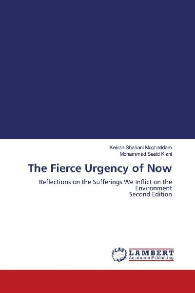 The Fierce Urgency of Now: Reflections on the Sufferings We Inflict on the Environment Second Edition