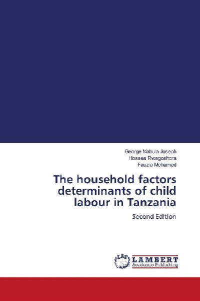 The household factors determinants of child labour in Tanzania: Second Edition