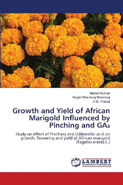 Growth and Yield of African Marigold Influenced by Pinching and GA¿: Study on effect of Pinching and Gibberellic acid on growth, flowering and yield of African marigold (Tagetes erecta L.)