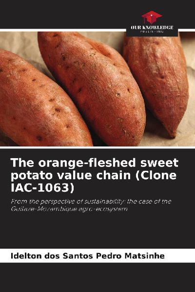 The orange-fleshed sweet potato value chain (Clone IAC-1063): From the perspective of sustainability: the case of the Guilaze-Mozambique agro-ecosystem