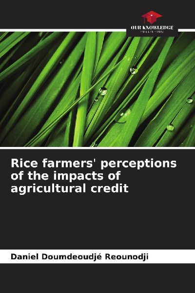 Rice farmers perceptions of the impacts of agricultural credit