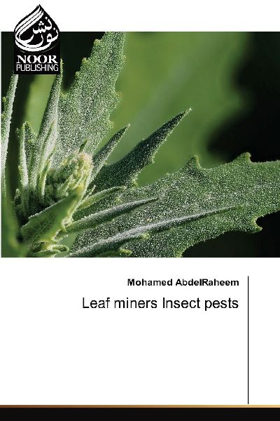 Leaf miners Insect pests