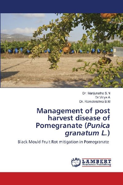 Management of post harvest disease of Pomegranate (Punica granatum L.): Black Mould Fruit Rot mitigation in Pomegranate