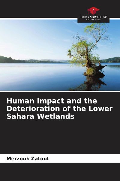 Human Impact and the Deterioration of the Lower Sahara Wetlands