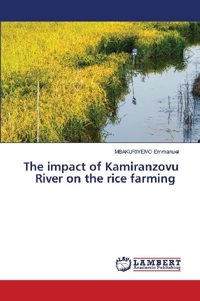 The impact of Kamiranzovu River on the rice farming