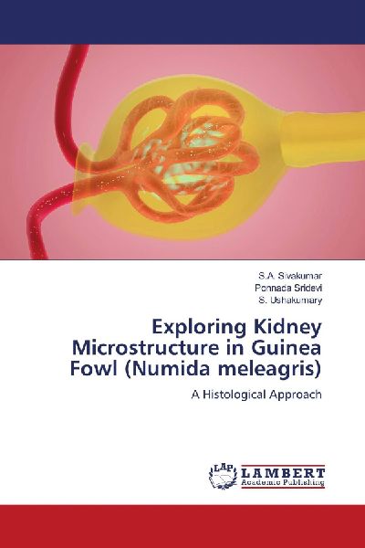 Exploring Kidney Microstructure in Guinea Fowl (Numida meleagris): A Histological Approach