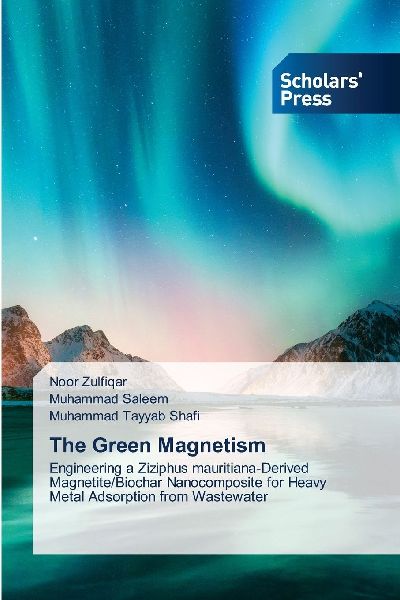 The Green Magnetism: Engineering a Ziziphus mauritiana-Derived Magnetite/Biochar Nanocomposite for Heavy Metal Adsorption from Wastewater