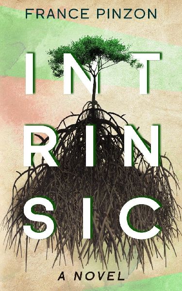 Intrinsic: A Novel