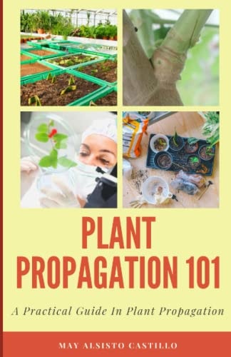 Plant Propagation 101 A Practical Guide In Plant Propagation