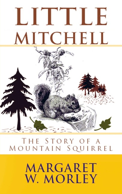 Little Mitchell