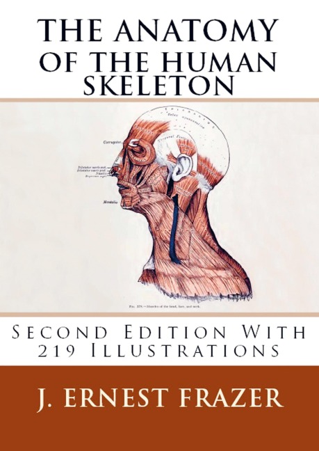 The Anatomy of the Human Skeleton