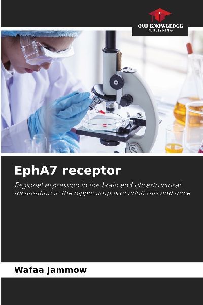 EphA7 receptor: Regional expression in the brain and ultrastructural localisation in the hippocampus of adult rats and mice