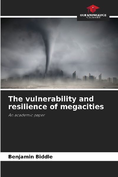 The vulnerability and resilience of megacities: An academic paper