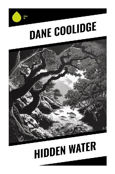 Hidden Water: A Desert Southwest Western of Range War, Spring Rights, Ranch Romance, and Frontier Endurance