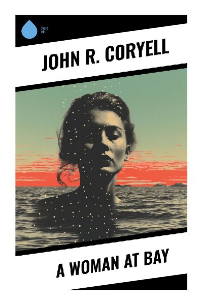 A Woman at Bay: A Victorian Detective Mystery of Crime, Disguise, and Undercover Pursuit in American Dime-Novel Fiction