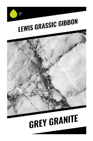 Grey Granite: Interwar Scottish Modernism, Working-Class Struggle, and Socialist Realism in the Industrial City