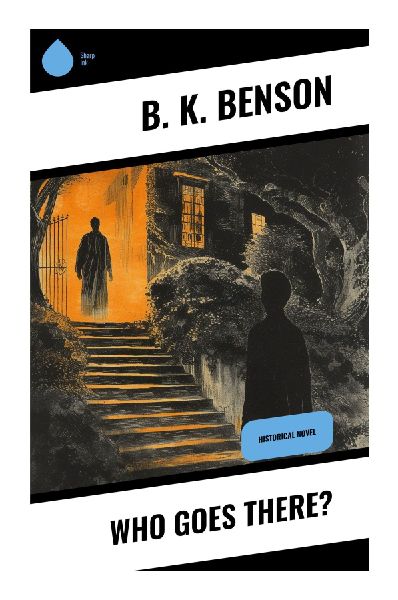 Who Goes There?: A Civil War Espionage Novel of Divided Loyalties, Battlefield Infiltration, and Wartime Identity