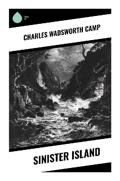 Sinister Island: A Remote Coastal Gothic Mystery of Amateur Detection, Maritime Murder, and Isolated Household Secrets