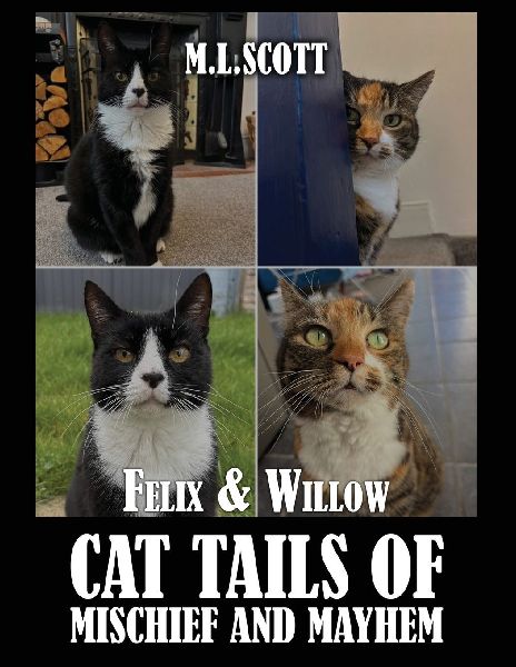 Felix & Willow cat tails of mischief and mayhem