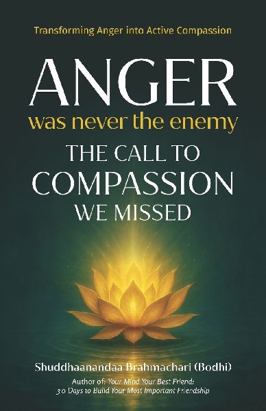 Anger Was Never the Enemy: The Call to Compassion We Missed