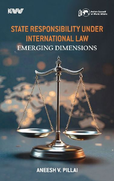 State Responsibility Under International Law: Emerging Dimensions