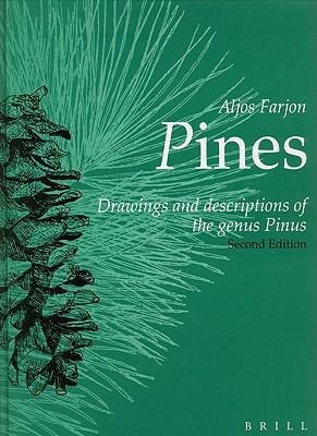 Pines: Drawings and Descriptions of the Genus Pinus