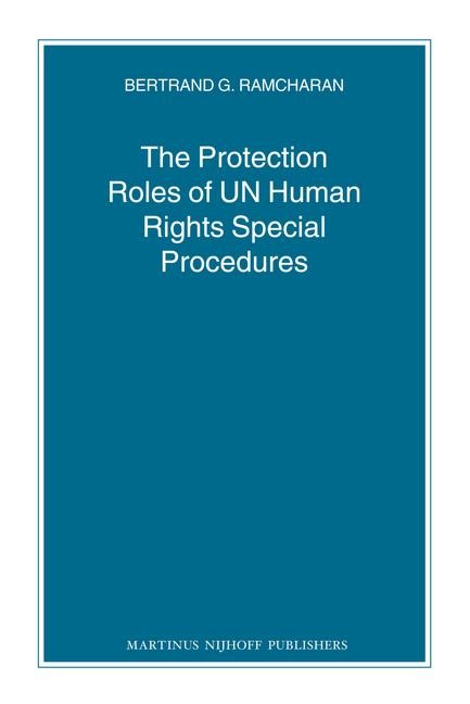 The Protection Roles of UN Human Rights Special Procedures