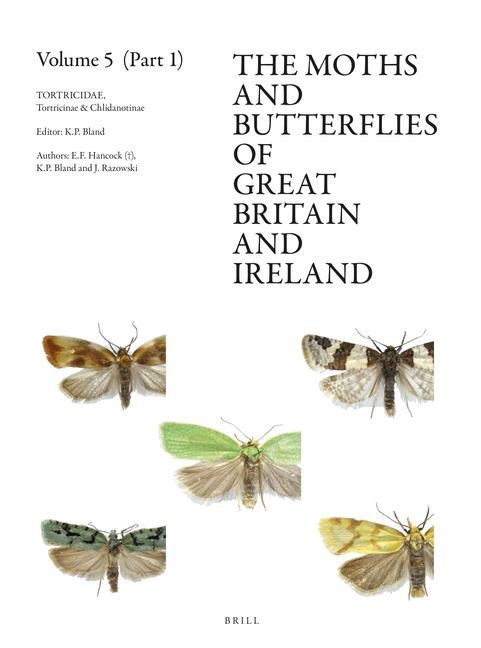 Tortricidae, Part 1: Tortricinae & Chlidanotinae