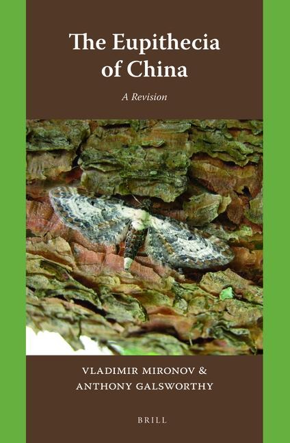 The Eupithecia of China