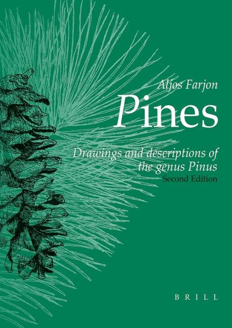 Pines, 2nd Revised Edition: Drawings and Descriptions of the Genus Pinus
