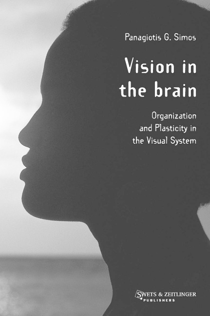 Vision in the Brain