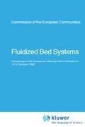 Fluidized Bed Systems