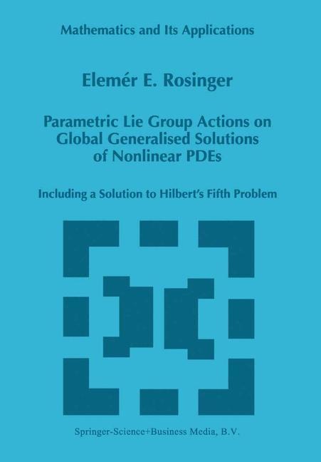 Parametric Lie Group Actions on Global Generalised Solutions of Nonlinear PDEs: Including a Solution to Hilberts Fifth Problem