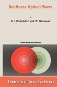 Nonlinear Optical Waves