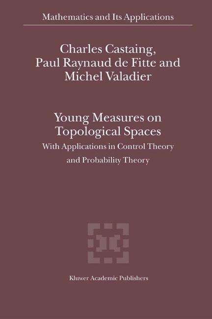Young Measures on Topological Spaces: With Applications in Control Theory and Probability Theory