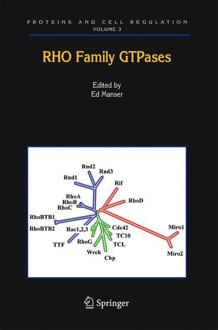 Rho Family Gtpases