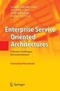 Enterprise Service Oriented Architectures: Concepts, Challenges, Recommendations