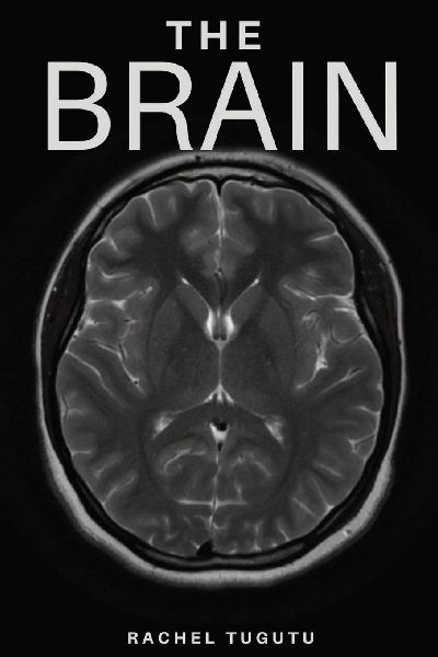 THE BRAIN