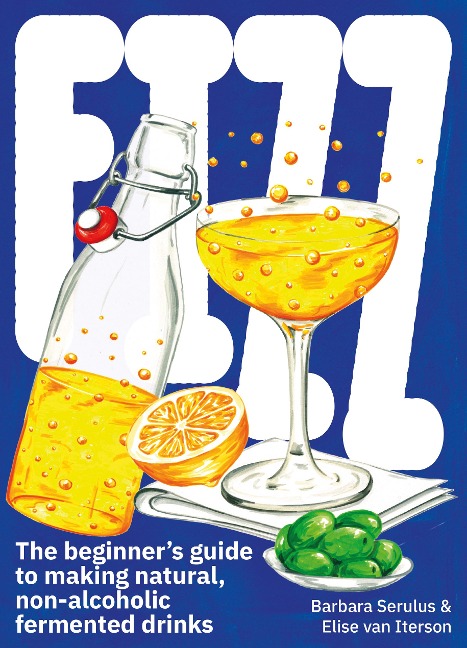 Fizz: A Beginners Guide to Making Natural, Non-Alcoholic Fermented Drinks