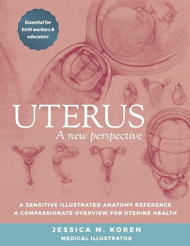 Uterus A New Perspective