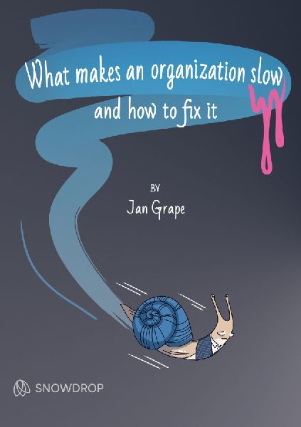 What makes an organization slow and how to fix it